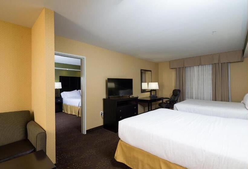 סוויטה, Holiday Inn Express And Suites Detroit North Troy, An Ihg