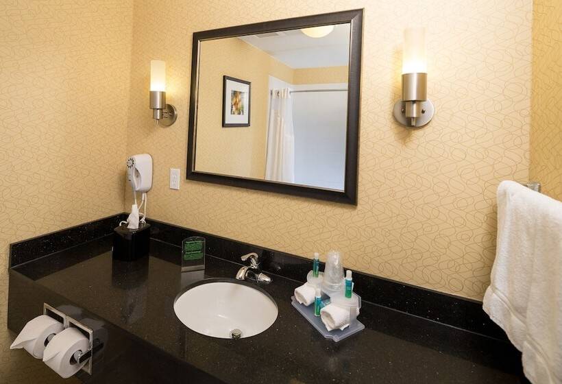 סוויטה מותאמת לאדם עם מוגבלויות, Holiday Inn Express And Suites Detroit North Troy, An Ihg