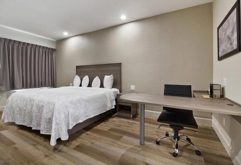 اتاق سوپریور با تخت بزرگ, Red Roof Inn Plus + Galveston   Beachfront