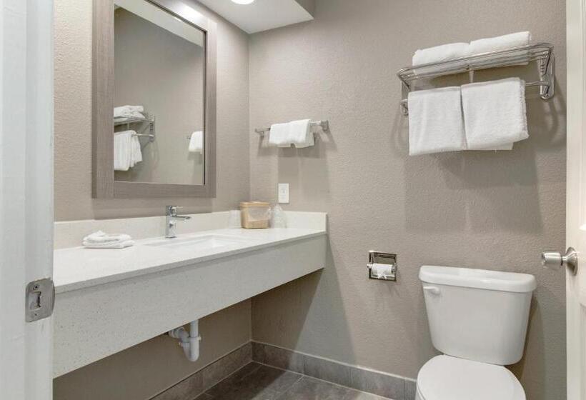 اتاق سوپریور با چشم‌انداز دریا, Red Roof Inn Plus + Galveston   Beachfront