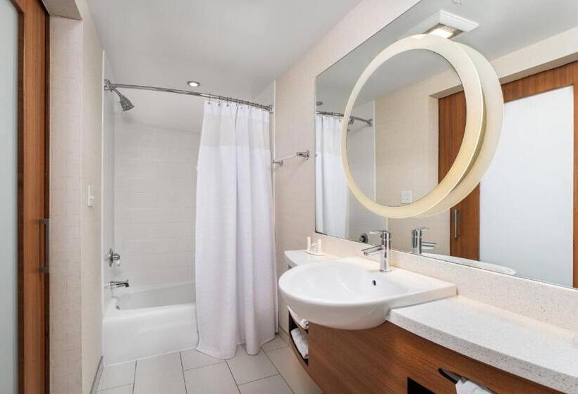 Студия Стандарт, Springhill Suites By Marriott Downtown Chattanooga/cameron Harbor