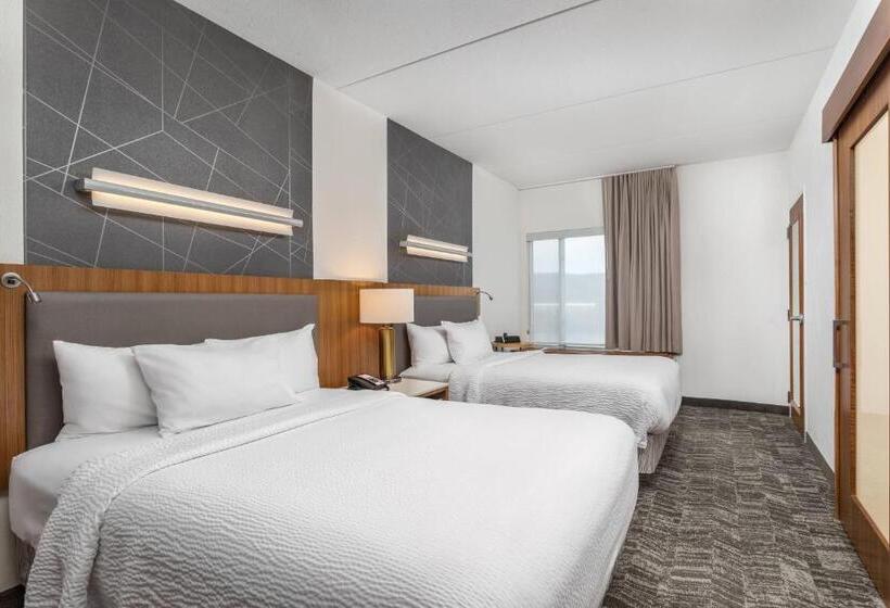 Standard studio with river view, Springhill Suites By Marriott Downtown Chattanooga/cameron Harbor