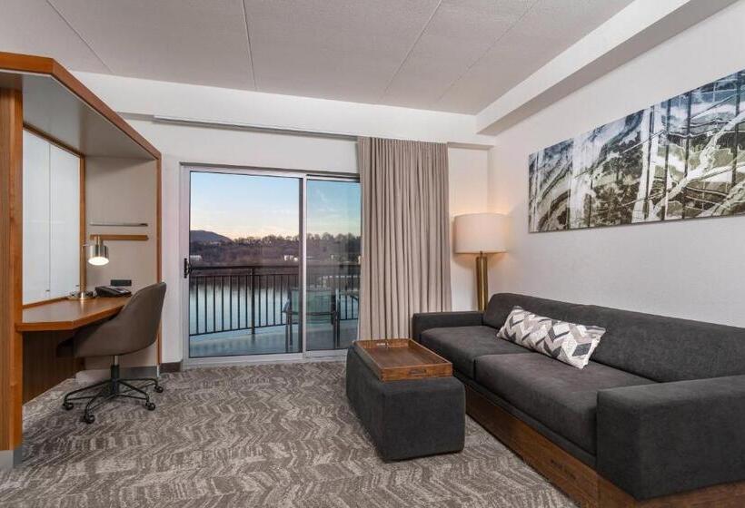 Студио Стандарт Кровать Кинг, Springhill Suites By Marriott Downtown Chattanooga/cameron Harbor