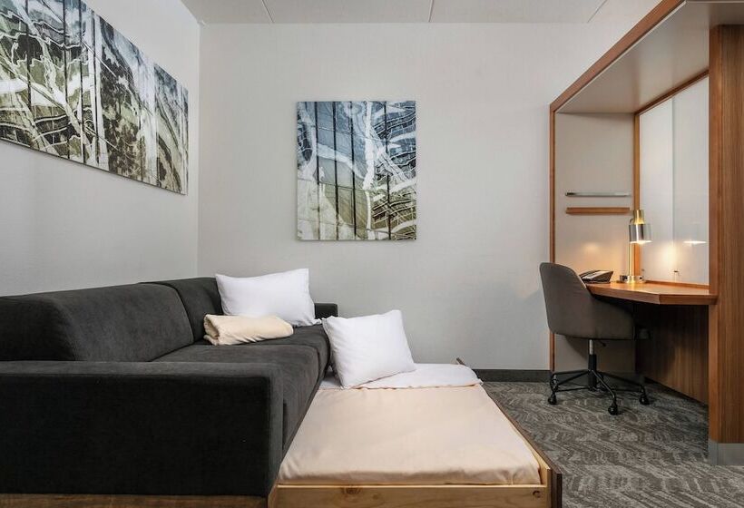 Студия Стандарт, Springhill Suites By Marriott Downtown Chattanooga/cameron Harbor