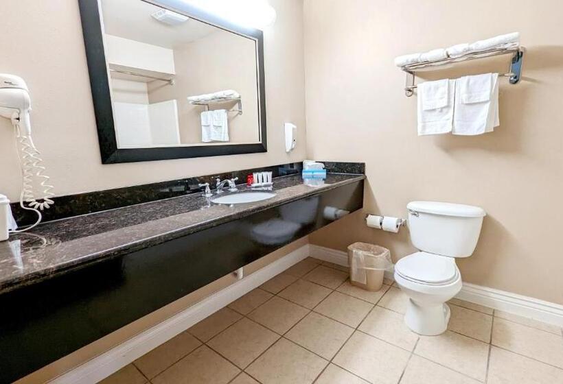 Номер Стандарт 2 Двуспальные Кровати, Fairbridge Inn & Suites Canadian