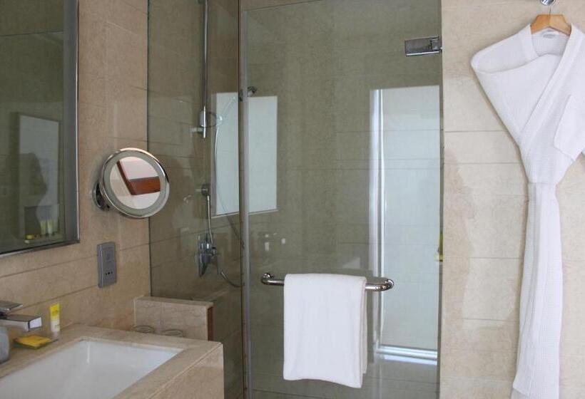 اتاق استاندارد, Hyatt Ahmedabad