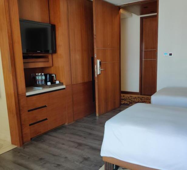 اتاق استاندارد, Hyatt Ahmedabad
