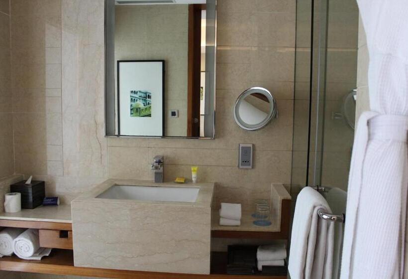 اتاق استاندارد, Hyatt Ahmedabad