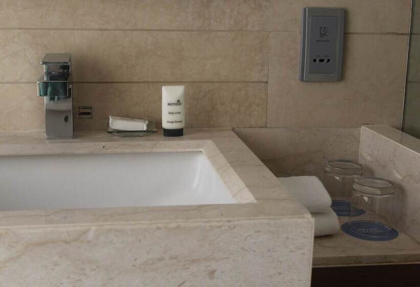 اتاق استاندارد با تخت بزرگ, Hyatt Ahmedabad