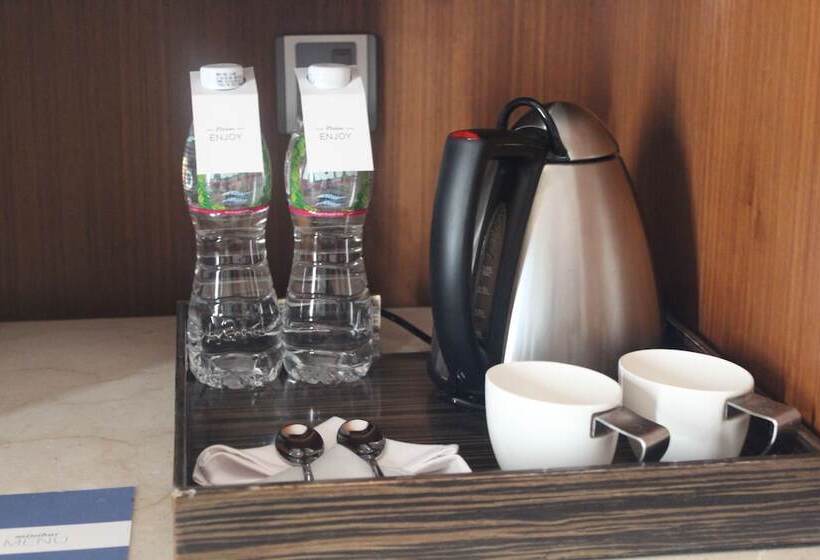 اتاق استاندارد با تخت بزرگ, Hyatt Ahmedabad