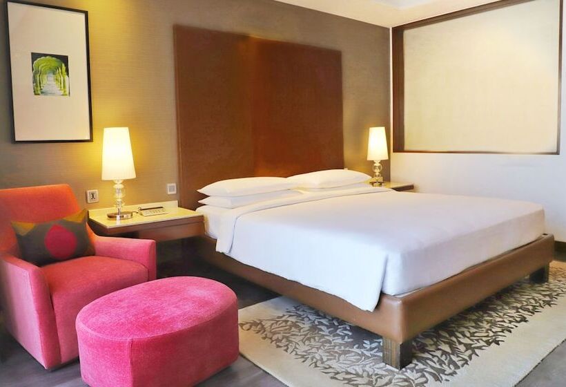 اتاق کلاب, Hyatt Ahmedabad