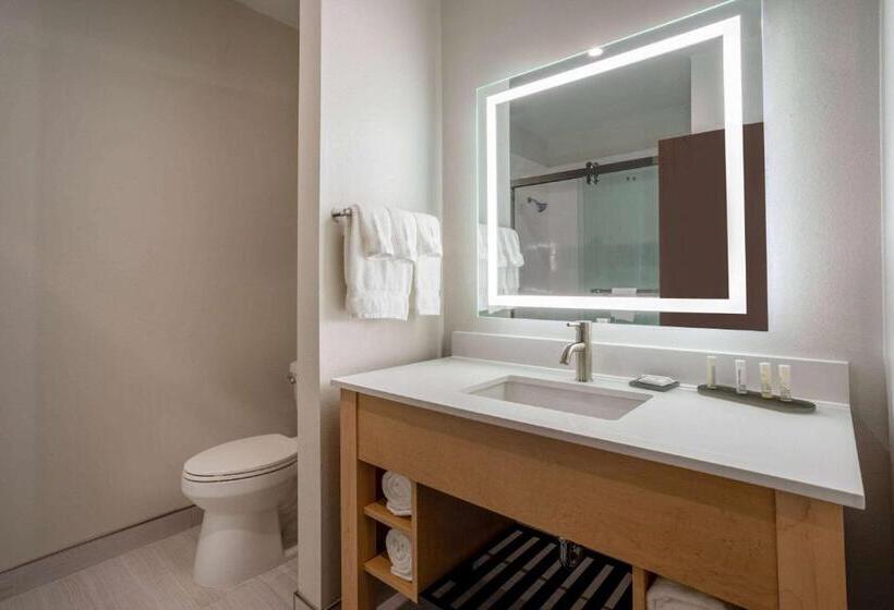 带大床的套房, La Quinta Inn & Suites By Wyndham Pflugerville
