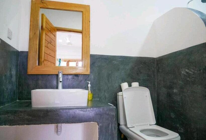 اتاق استاندارد, Jahazi