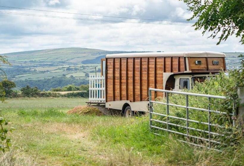 חדר סופריור נוף לים, Penrhiw Farm B & B