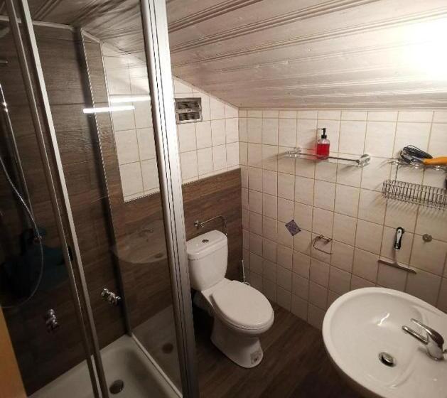 Номер Стандарт Трехместный, Pension Hüttendorf 49 Gradnord