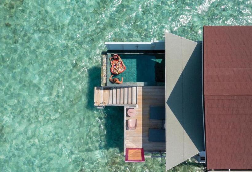 فيلا غرفة نوم واحدة مع مسبح, Oblu Select Lobigili  Premium Allinclusive With Free Transfers