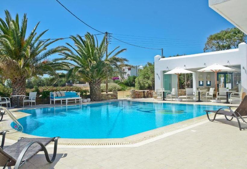 اتاق استاندارد با چشم‌انداز استخر, Birikos Studios & Apartments