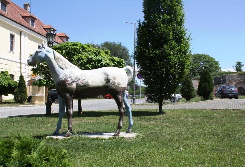 اتاق کلاس بیزنس, Leopold I