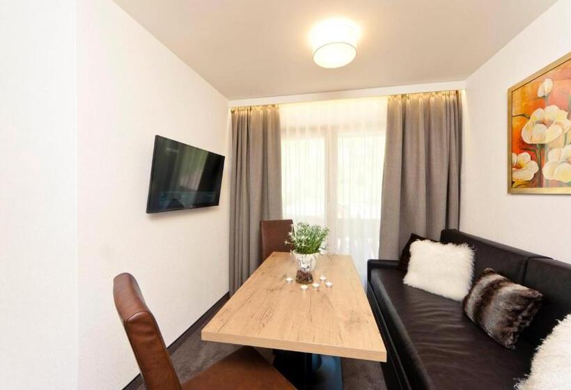 آپارتمان سوپریور 1 خوابه, Waldpark Hotel Garni