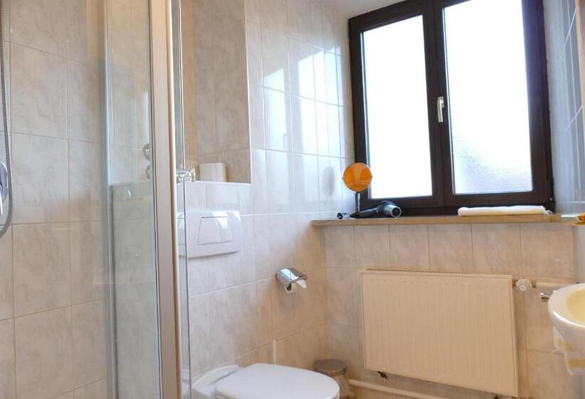 スタンダードシングルルーム, Altstadt Hotel Zum Hechten
