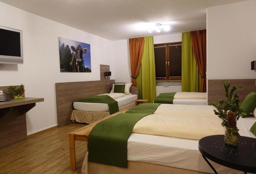 Четырехместный Номер Стандарт, Altstadt Hotel Zum Hechten