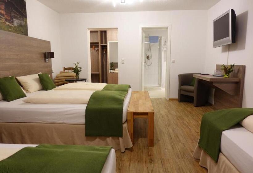 スタンダード４人部屋, Altstadt Hotel Zum Hechten