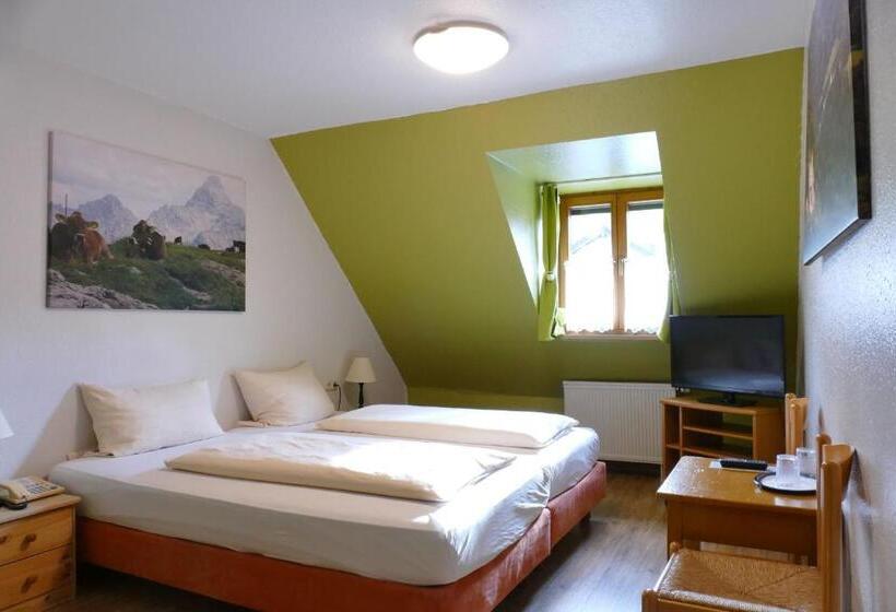 スタンダードルーム, Altstadt Hotel Zum Hechten