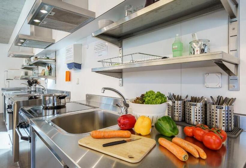 מיטה בחדר משותף, Backpackers Villa Sonnenhof   Hostel Interlaken