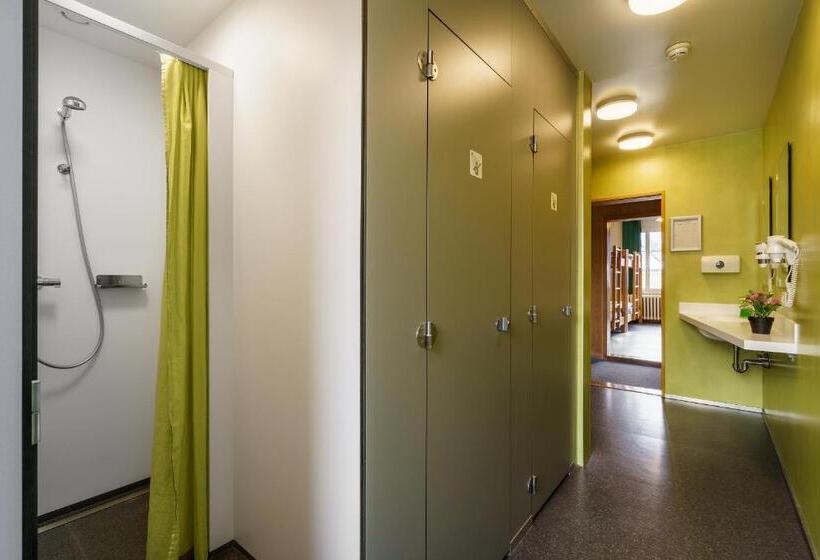 מיטה בחדר משותף, Backpackers Villa Sonnenhof   Hostel Interlaken