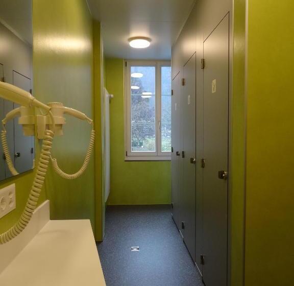 מיטה בחדר משותף, Backpackers Villa Sonnenhof   Hostel Interlaken