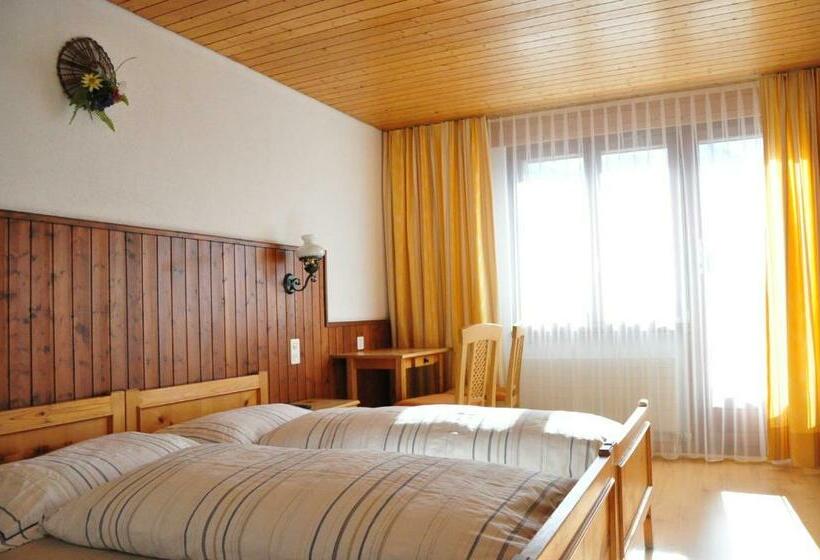 Номер Стандарт, Fiescherhof