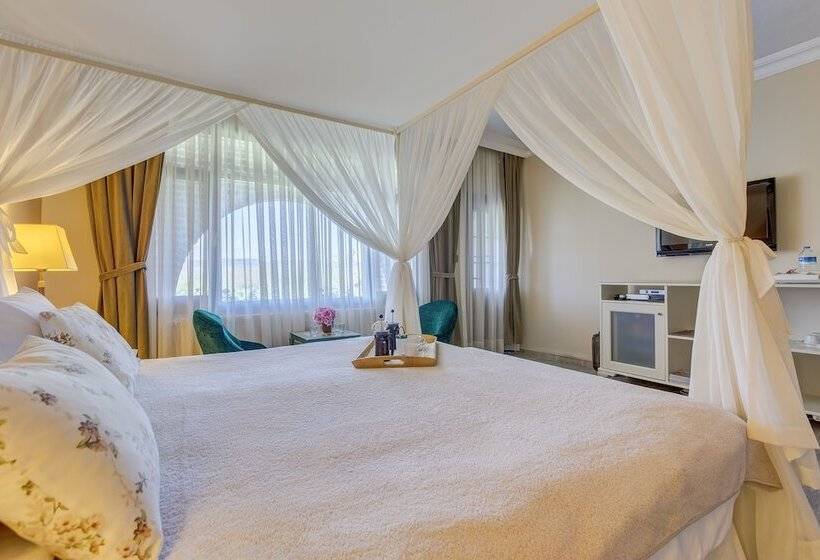 غرفة قياسية مطلّة علي النهر, Agva Greenline Guesthouse