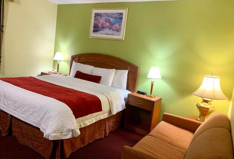 스탠다드 룸 킹사이즈 침대, Valley Inn Motel