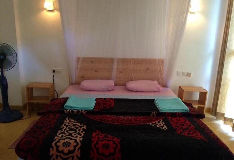 Номер Deluxe, Raveena Guest House