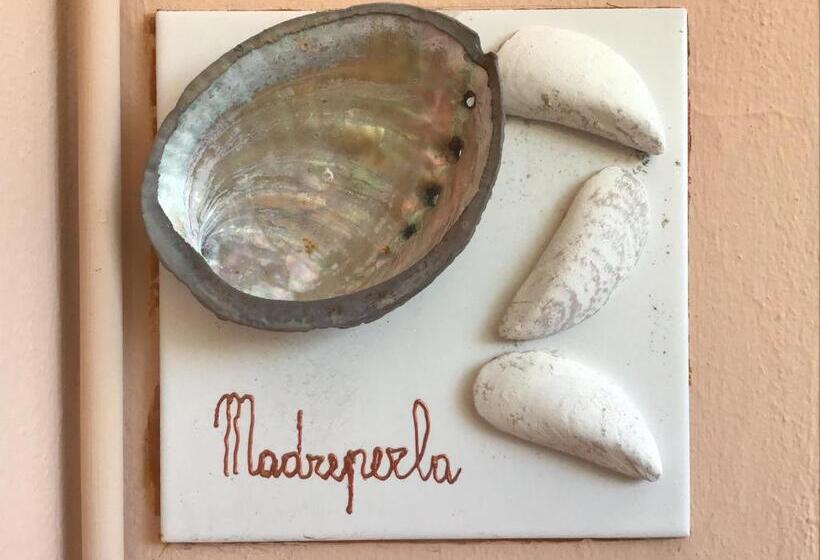 استودیوی استاندارد, Falesiaconero