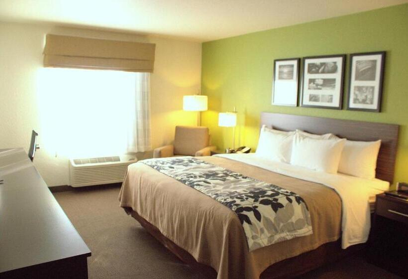 キングサイズベッドのスタンダードルーム, Sleep Inn Regina East
