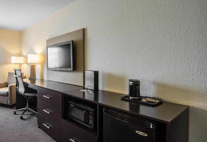 キングサイズベッドのスタンダードルーム, Sleep Inn Regina East