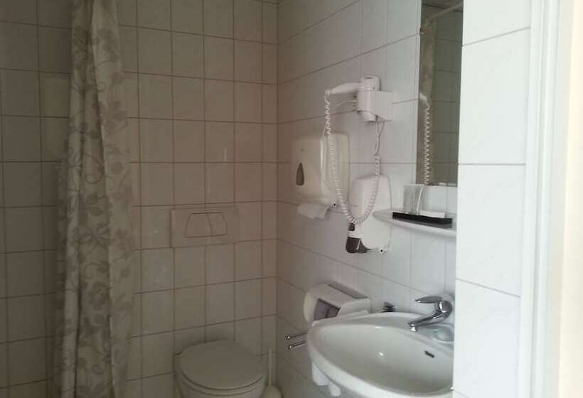 اتاق استاندارد یک نفره, Oranje Hotel Sittard