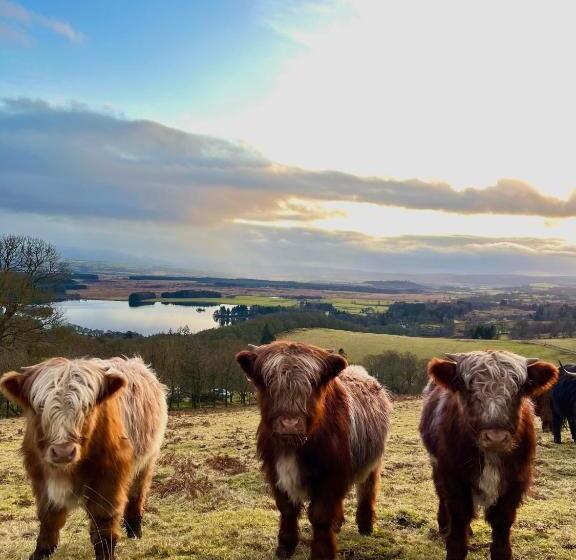 منزل غرفة نوم واحدة, Nether Glenny Farm