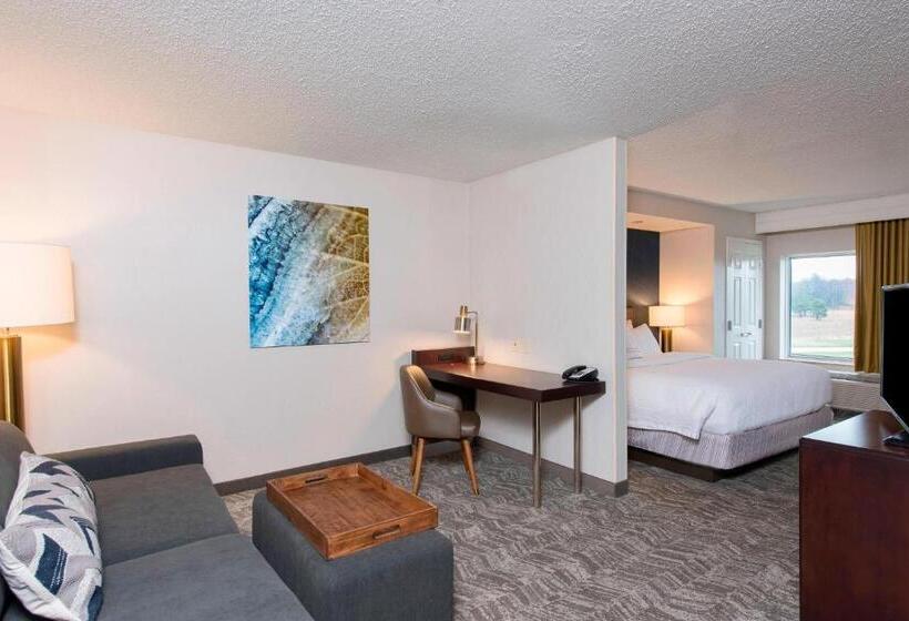 Студио Стандарт Кровать Кинг, Springhill Suites Midland