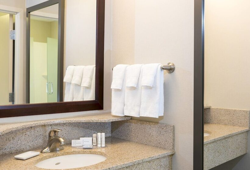 Студия Стандарт, Springhill Suites Midland