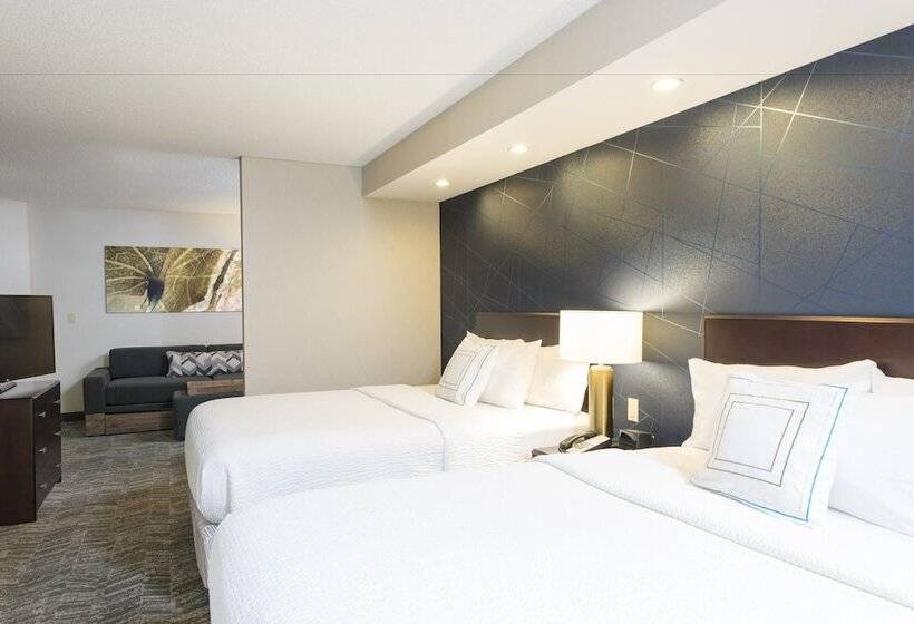 Студия Стандарт, Springhill Suites Midland