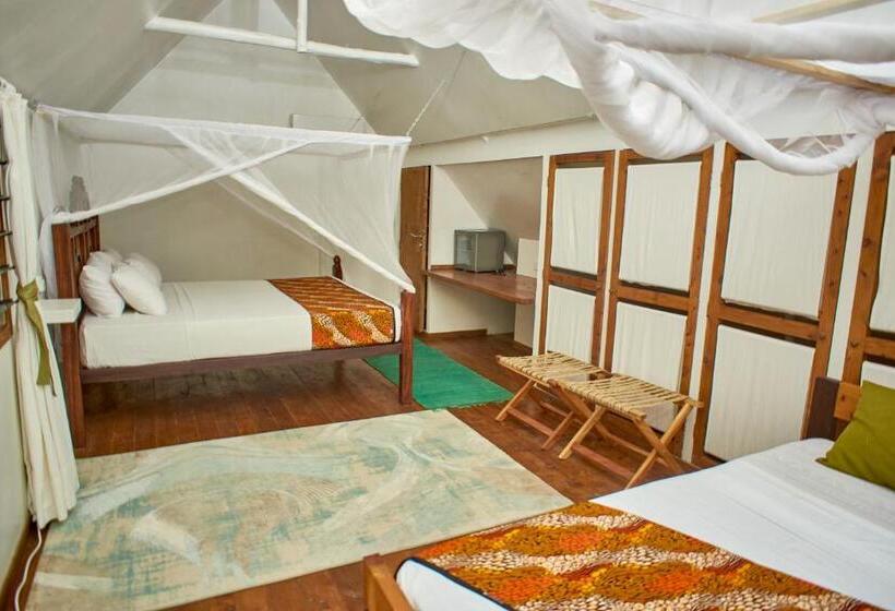 سوییت, Lions  Luxury Eco Resort & Spa