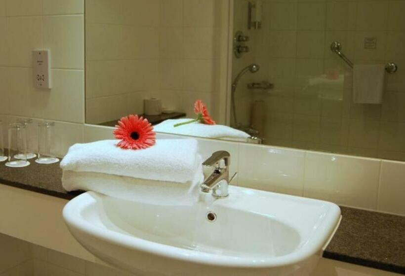 اتاق لوکس یک تخته, Maldron Hotel Merrion Road