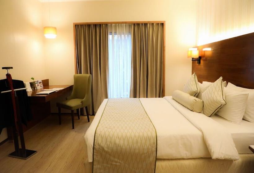 اتاق اجرایی, The Orchid Hotel Pune Hinjewadi