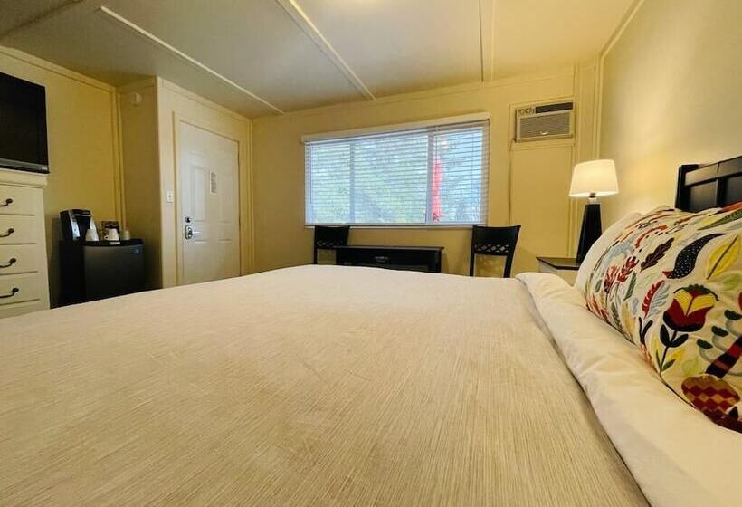 Номер Стандарт, Piccadilly Motel