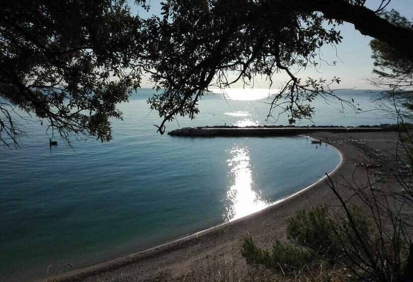اتاق استاندارد, Affittacamere Villa Zelinda