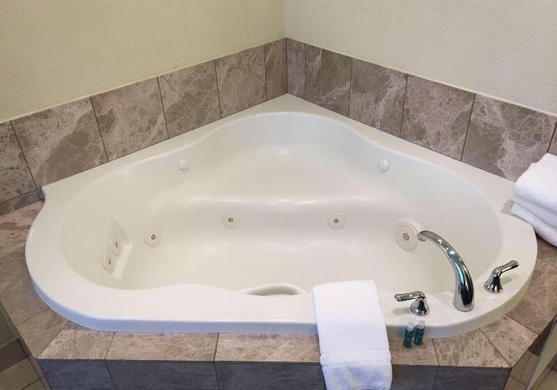 스탠다드 룸 킹사이즈 침대, Best Western Plus Reading Inn & Suites