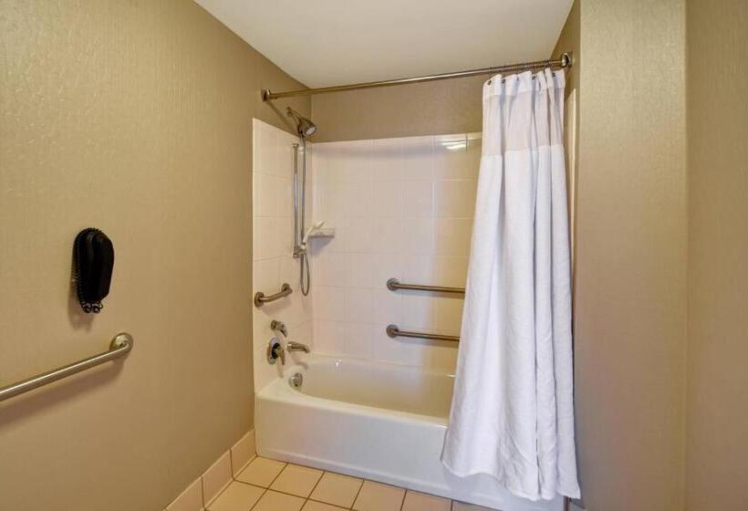 استودیو استاندارد با تخت کینگ, Springhill Suites Louisville Airport