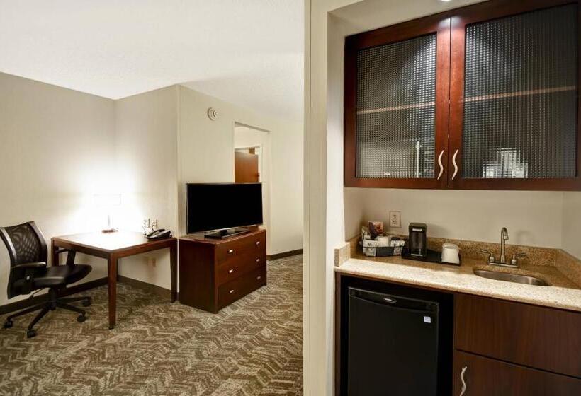 استودیو استاندارد با تخت کینگ, Springhill Suites Louisville Airport